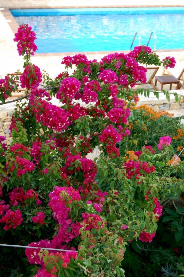 Aeolos Hotel Koufonisia Buitenkant foto